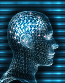 brain
